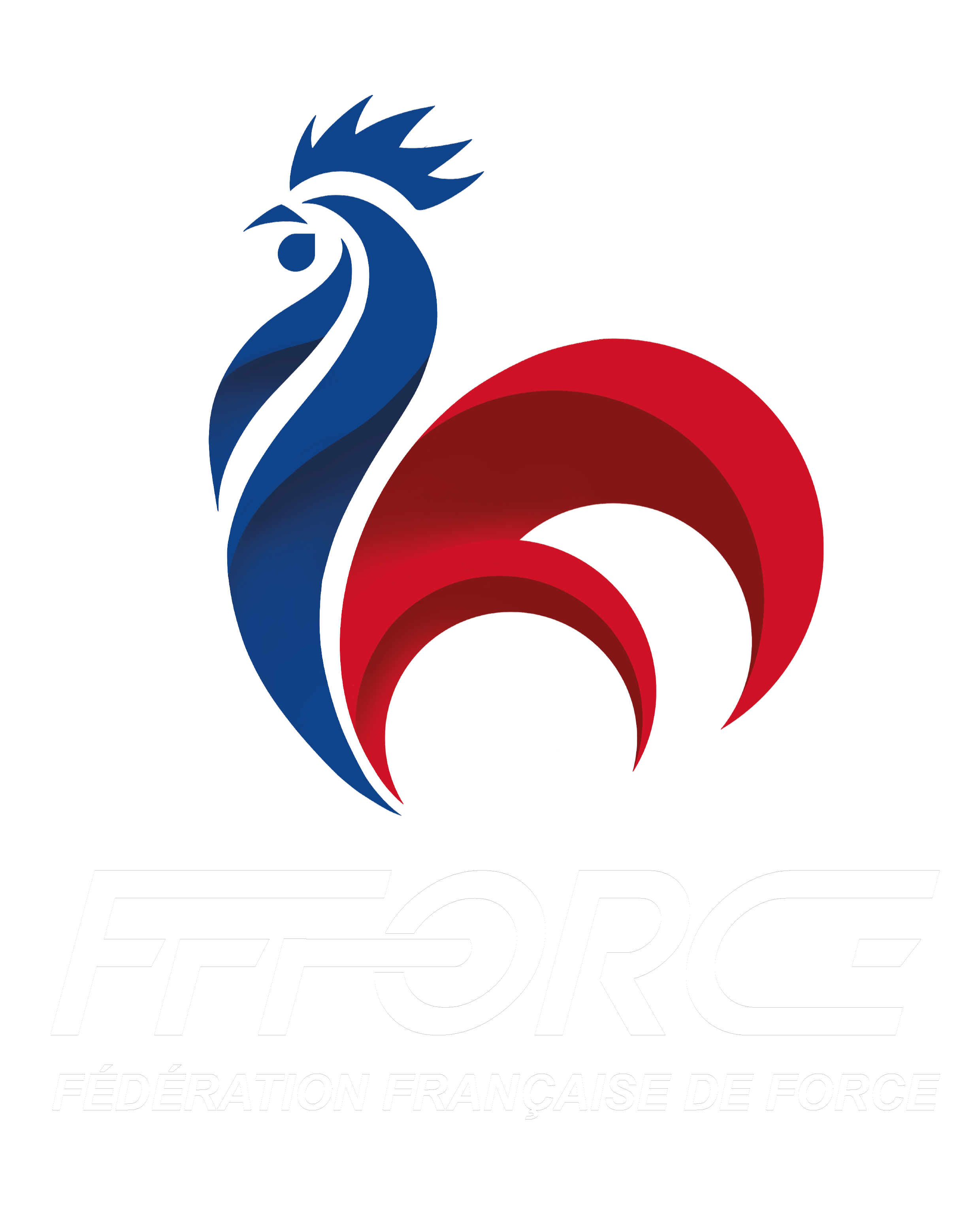 FFForce